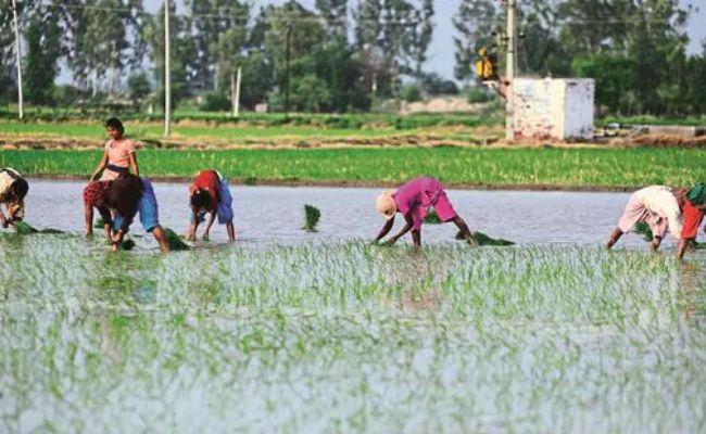 The Rural Revival: India’s Quest for a Balanced Development